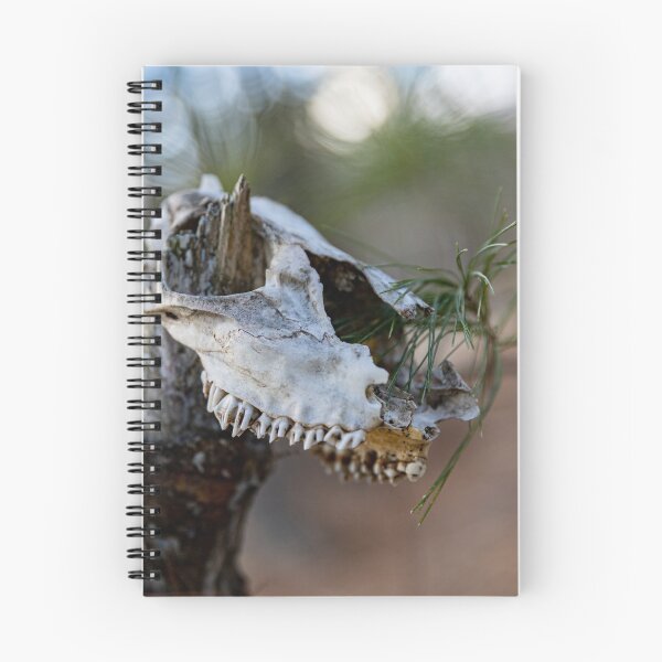 Item preview, Skull Forest designed and sold by Daniel's Destinations.