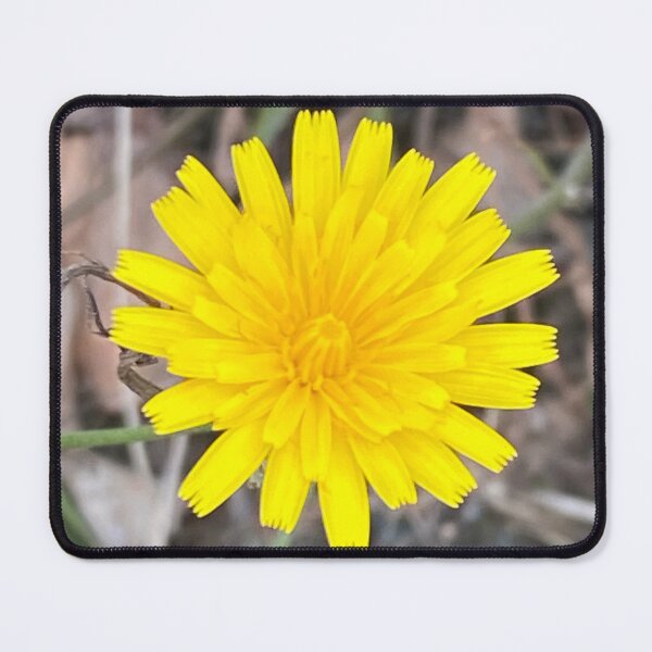 Item preview, Dandelion Daze designed and sold by Judydcreates.