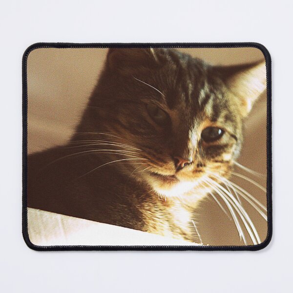 Item preview,  tabby cat designed and sold by Francespoppy.