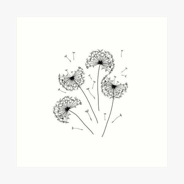 Floral pattern of dandelions Art Print