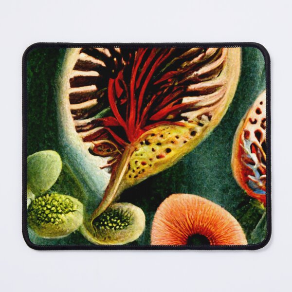Item preview, Exotic Nature, Botanical ethereal floral artwork designed and sold by B-outfiters.