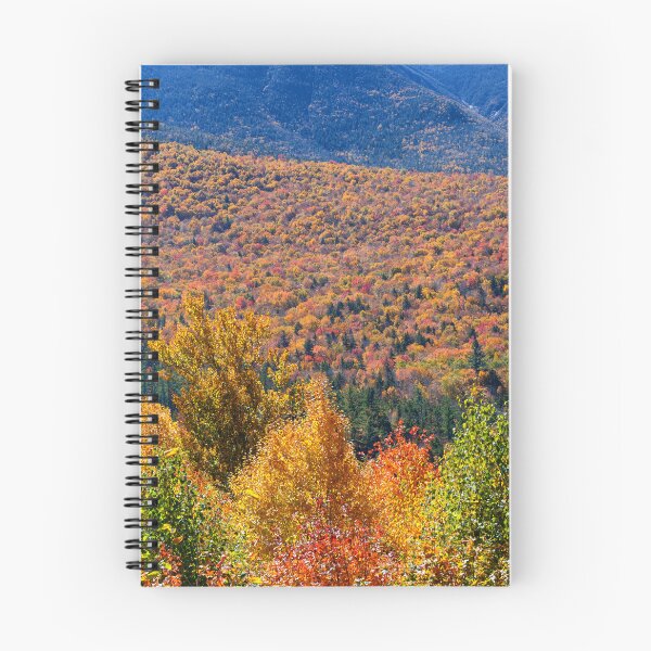 Item preview, The view on the Kancamagus Highway designed and sold by Richard Morgan.
