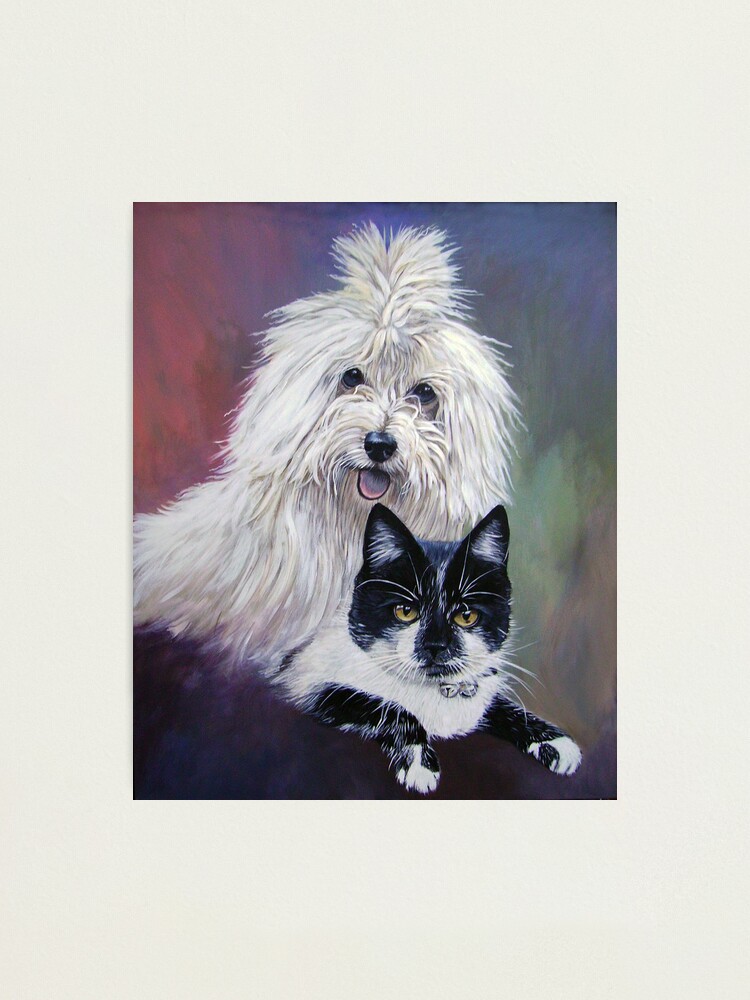 Alternate view of Shine and Puss Photographic Print