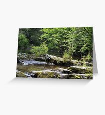 water Greeting Card