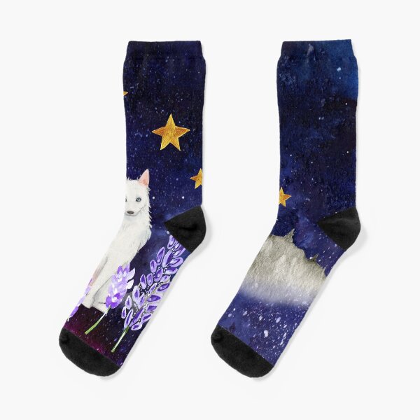 Magical dreamy night for wild spirits / Violet illustration with lavender, starry sky and husky dog Socks