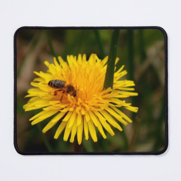 Item preview, bee on a dandelion designed and sold by Francespoppy.