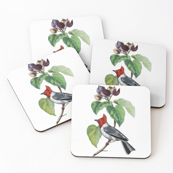 Item preview, Le Jardin Des Plantes / The beauty of Classic Art / Paul Gervais designed and sold by JJAarts.