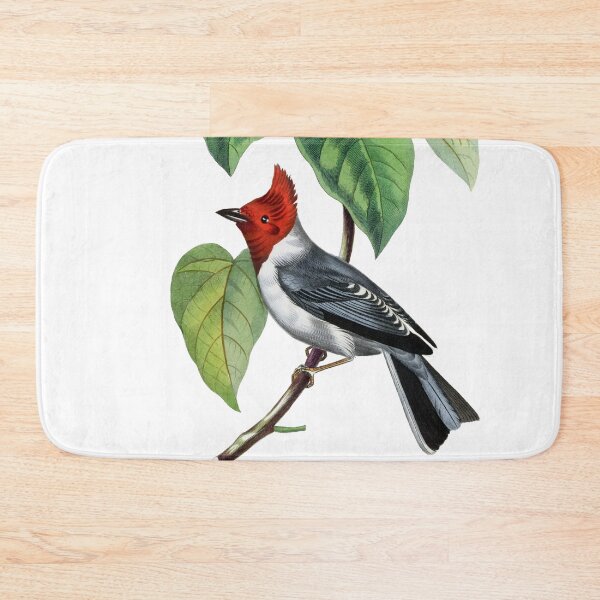 Item preview, Le Jardin Des Plantes / The beauty of Classic Art / Paul Gervais designed and sold by JJAarts.
