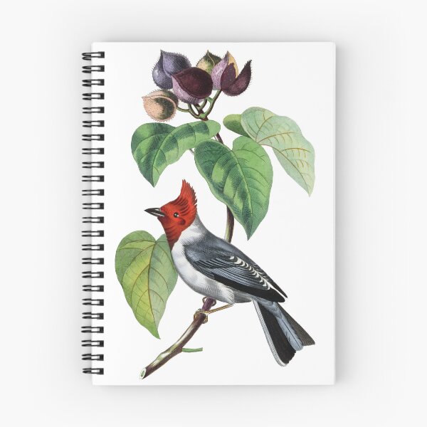 Item preview, Le Jardin Des Plantes / The beauty of Classic Art / Paul Gervais designed and sold by JJAarts.
