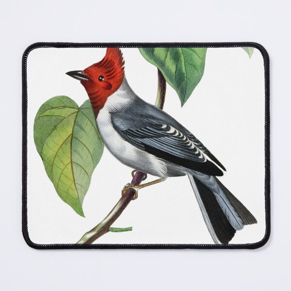 Item preview, Le Jardin Des Plantes / The beauty of Classic Art / Paul Gervais designed and sold by JJAarts.