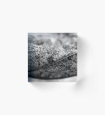 Five Acrylic Block