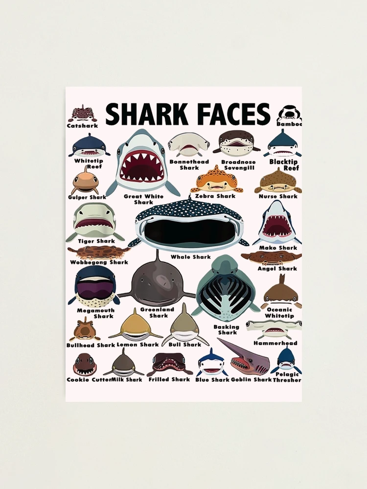 Shark Iron-On Labels for Clothing and Face Masks