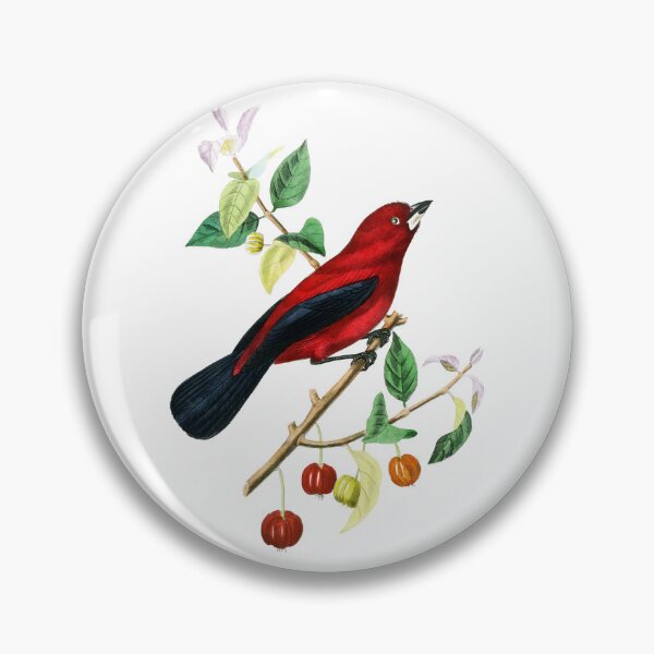 Item preview, Le Jardin Des Plantes / The beauty of Classic Art / Paul Gervais designed and sold by JJAarts.