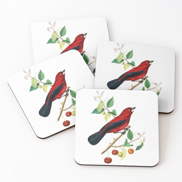 Item preview, Le Jardin Des Plantes / The beauty of Classic Art / Paul Gervais designed and sold by JJAarts.