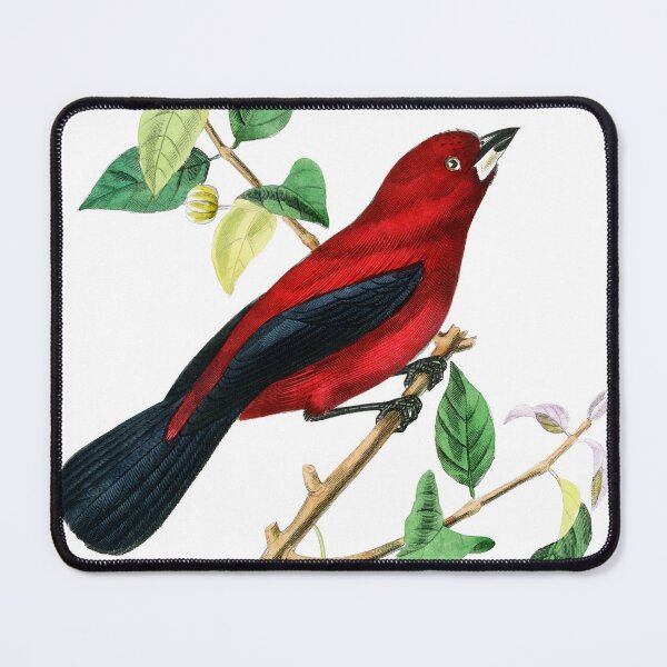 Item preview, Le Jardin Des Plantes / The beauty of Classic Art / Paul Gervais designed and sold by JJAarts.