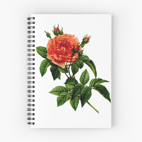 Item preview, French Rose designed and sold by Magbees.