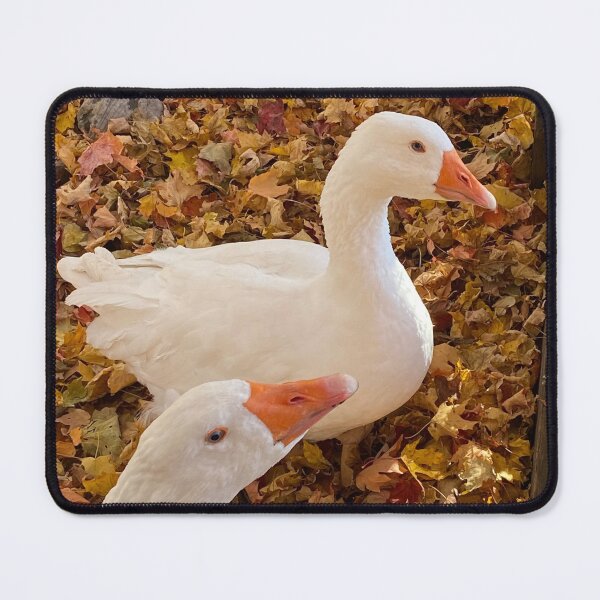 Item preview, Two Cute White Ducks designed and sold by Judydcreates.