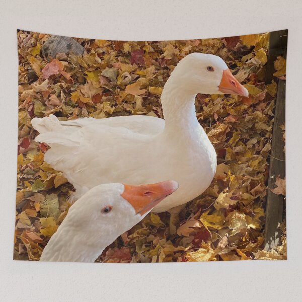 Item preview, Two Cute White Ducks designed and sold by Judydcreates.