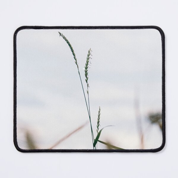 Item preview, Close-up of wheat on a summer's day designed and sold by StudioKTO.