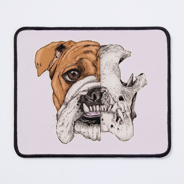 Item preview, English bulldog skull designed and sold by Rômulo Queiroz.