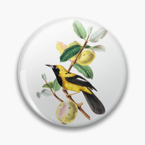 Item preview, Le Jardin Des Plantes / The beauty of Classic Art / Paul Gervais designed and sold by JJAarts.