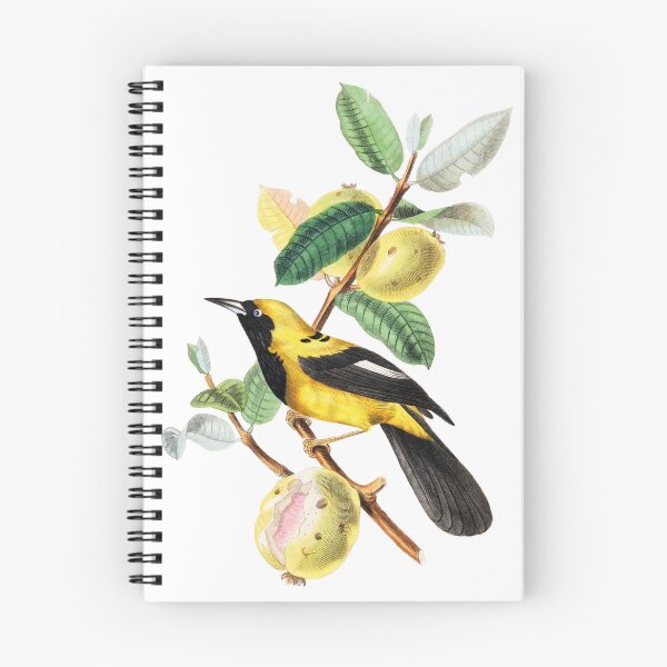 Item preview, Le Jardin Des Plantes / The beauty of Classic Art / Paul Gervais designed and sold by JJAarts.