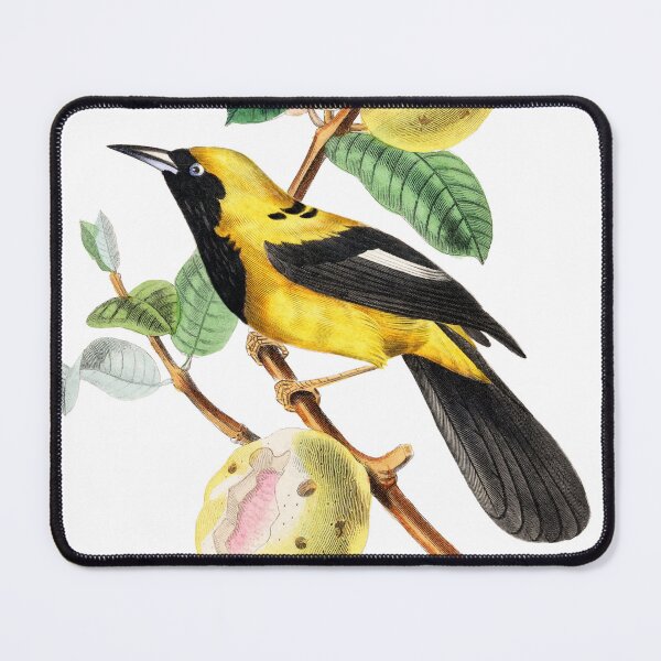 Item preview, Le Jardin Des Plantes / The beauty of Classic Art / Paul Gervais designed and sold by JJAarts.