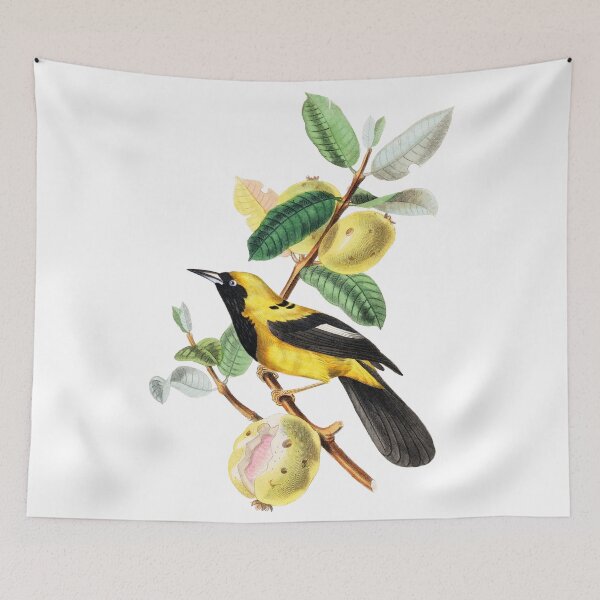 Item preview, Le Jardin Des Plantes / The beauty of Classic Art / Paul Gervais designed and sold by JJAarts.