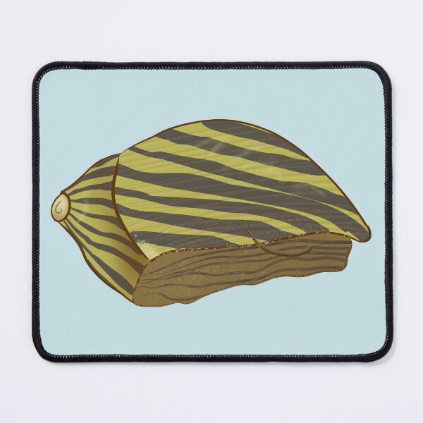 Item preview, Nerite Freshwater Snail designed and sold by SnowAfterFyre.