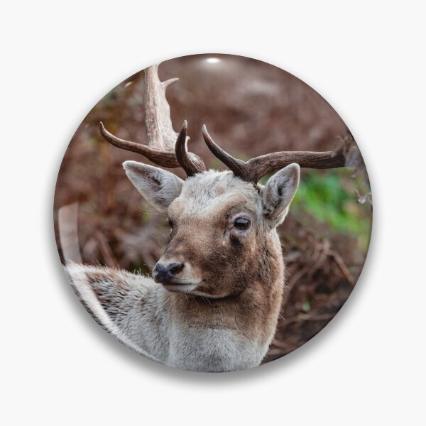 Item preview, White Stag designed and sold by ChloePorter17.