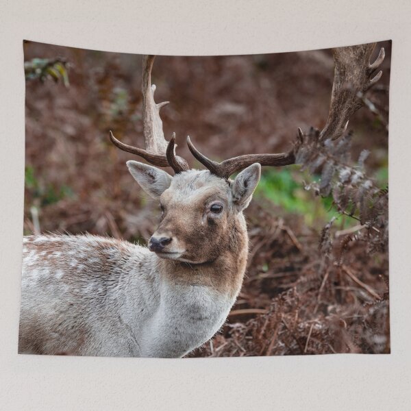 Item preview, White Stag designed and sold by ChloePorter17.