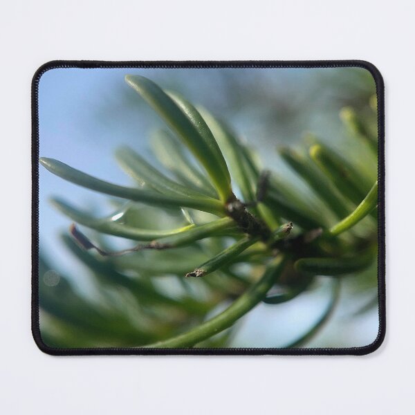 Item preview, Spruce designed and sold by Jason Tompkins.