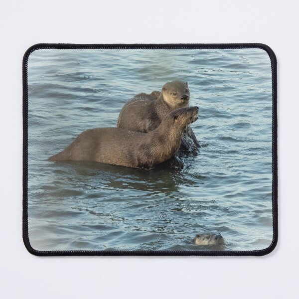 Item preview, Two otters on a rock designed and sold by Anthony Brewer.