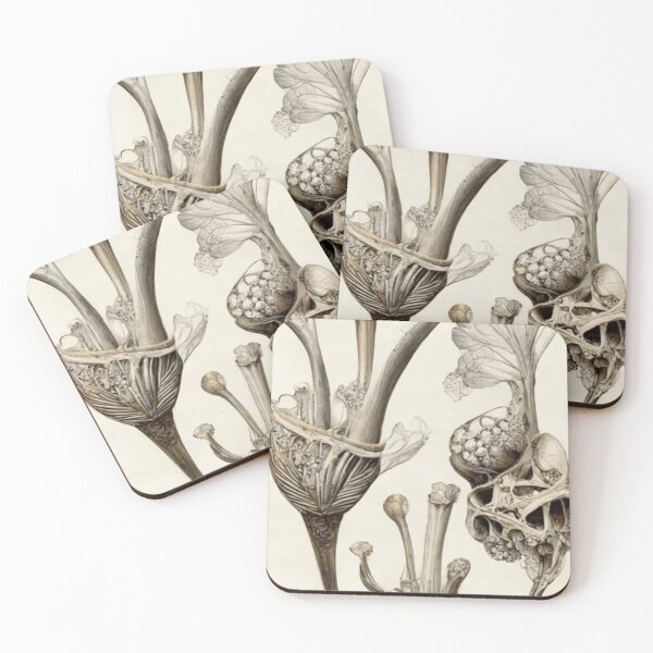 Item preview, Botanical Bones designed and sold by Neitherworld-BJ.