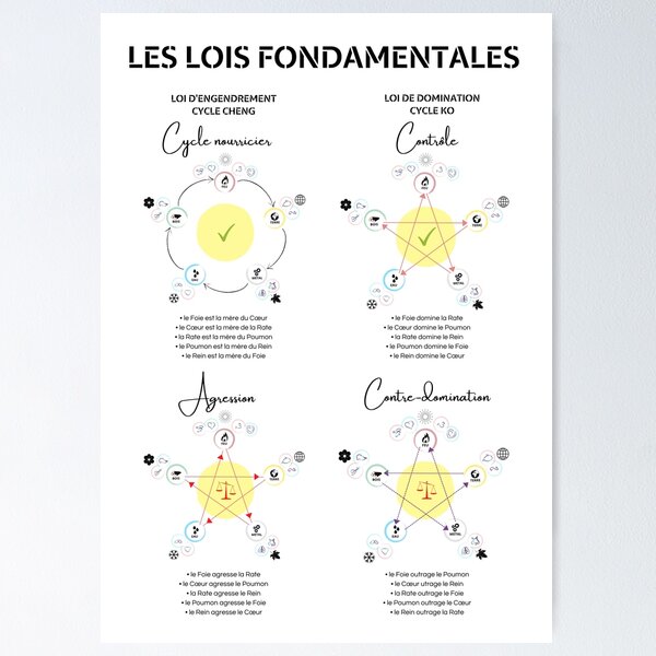 5 éléments de Médecine Traditionnelle Chinoise : Détail des lois fondamentales Poster