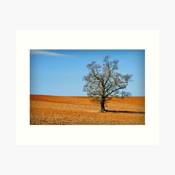 Item preview, Lonely Tree designed and sold by Ralph Goldsmith.