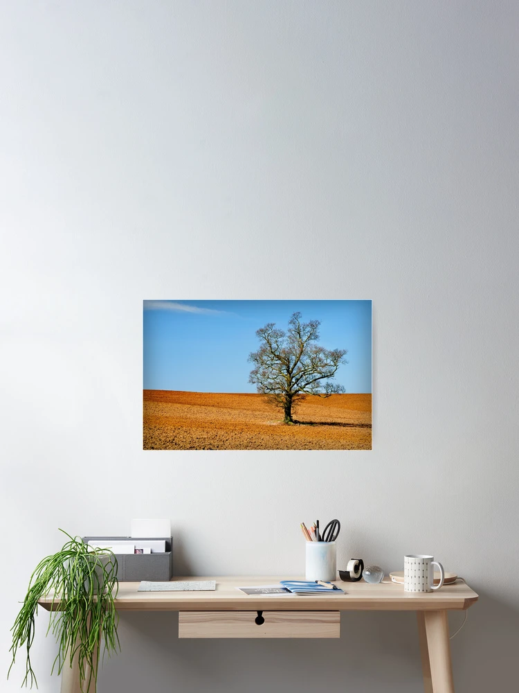 Thumbnail 2 of 3, Poster, Lonely Tree designed and sold by Ralph Goldsmith.