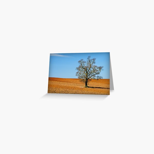 Item preview, Lonely Tree designed and sold by Ralph Goldsmith.
