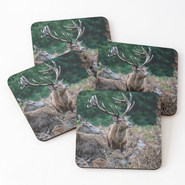 Item preview, Dominant Stag, Bushy Park designed and sold by ChloePorter17.