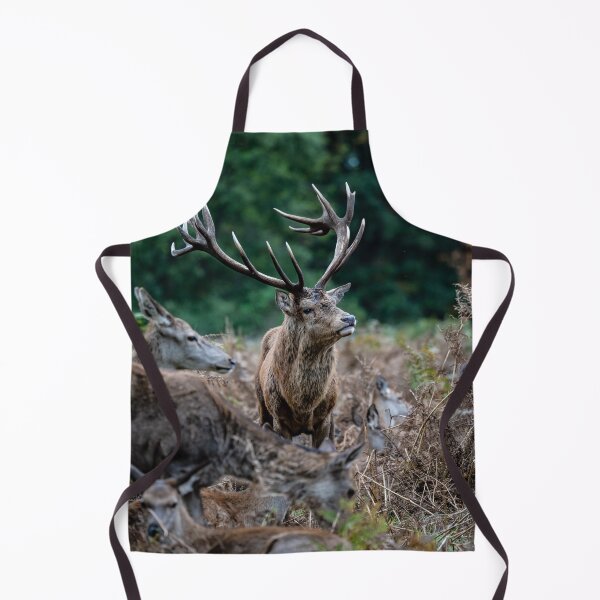 Item preview, Dominant Stag, Bushy Park designed and sold by ChloePorter17.