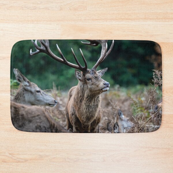 Item preview, Dominant Stag, Bushy Park designed and sold by ChloePorter17.