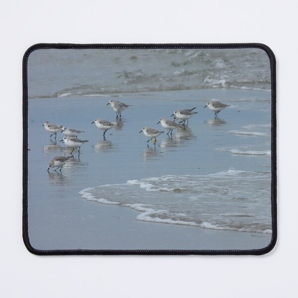 Item preview, Group of seabirds hunting designed and sold by alanoix.