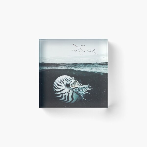 Item preview, nautilo designed and sold by Vesanie.