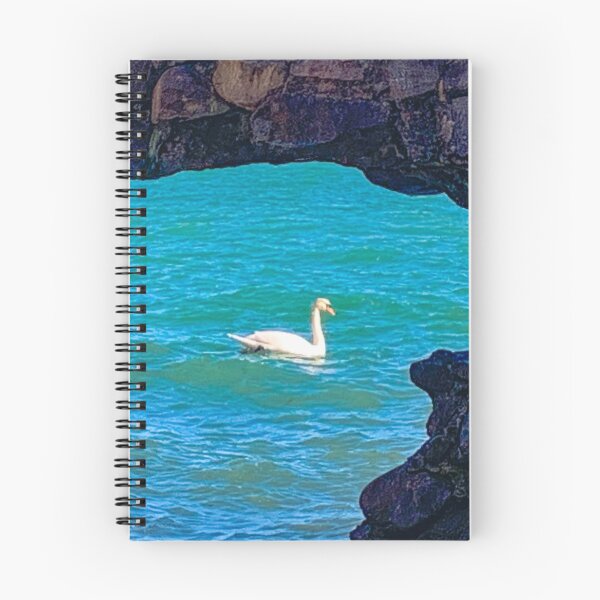 Item preview, Swan viewed through a stone arch designed and sold by Michael Brewer.