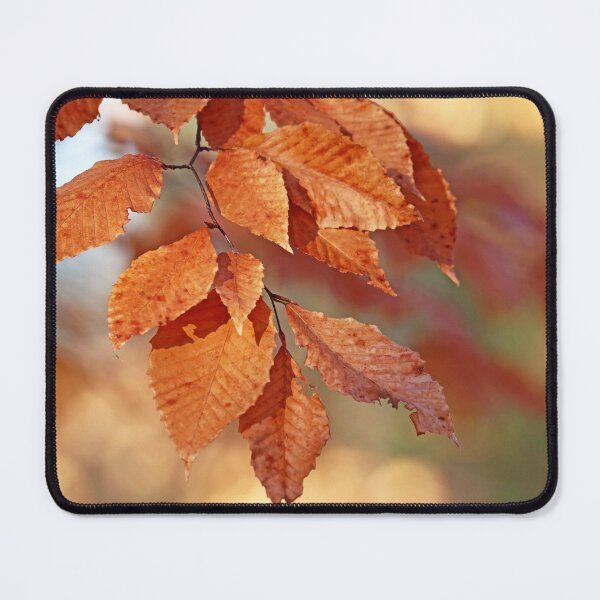 Item preview, Fall Beech Leaves designed and sold by Deb Oppermann.