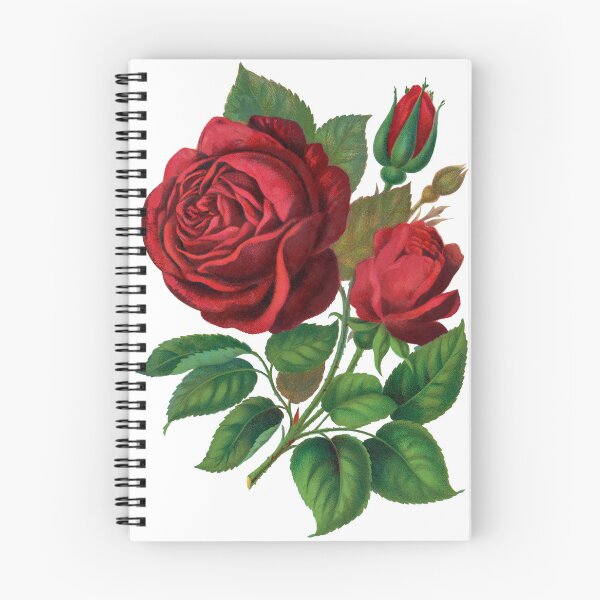 Item preview, Red rose / Prince Camille De Rohan lithograph designed and sold by JJAarts.