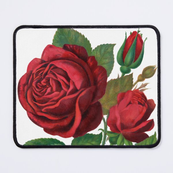Item preview, Red rose / Prince Camille De Rohan lithograph designed and sold by JJAarts.