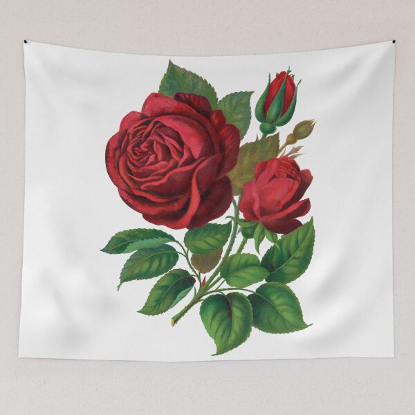 Item preview, Red rose / Prince Camille De Rohan lithograph designed and sold by JJAarts.