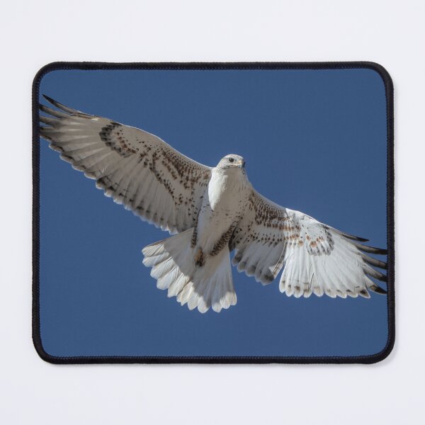 Item preview, Ghost Hawk designed and sold by Tom Talbott.