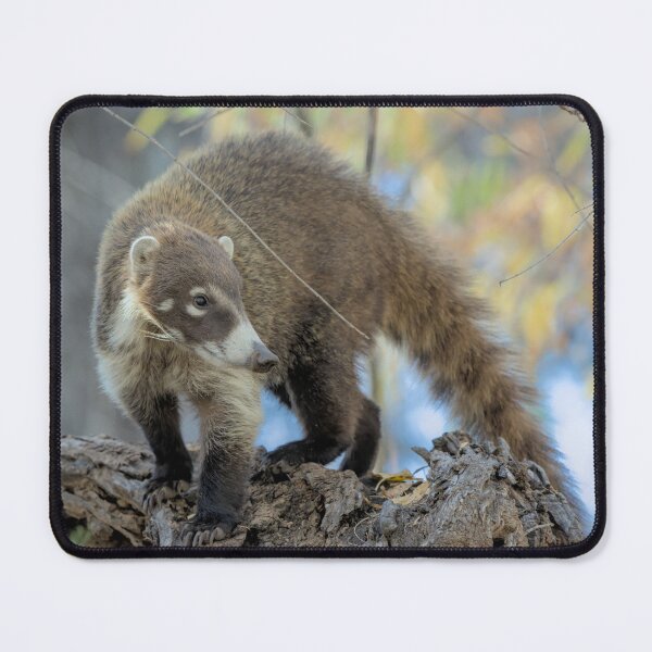 Item preview, Coatimundi designed and sold by Tom Talbott.